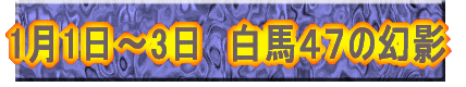 11`3@nSV̌e